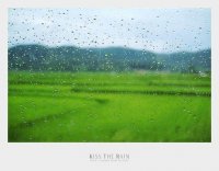 雨季图片-唯美雨水图片