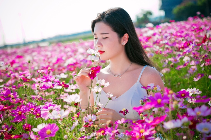 春暖花开时节花海里的清新女生