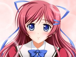 日本动画片《光之美少女》动漫美女图片